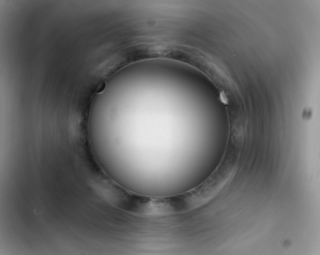 X0000102870270200808181513