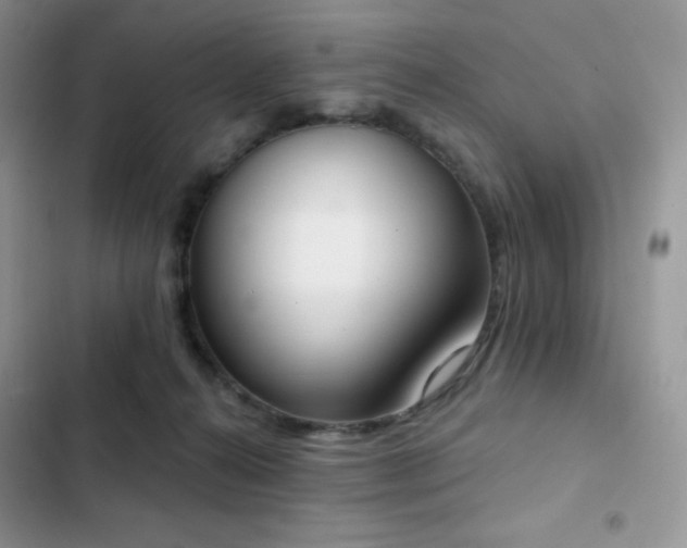 X0000102870272200808181513