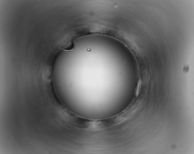 X0000102870273200808181513