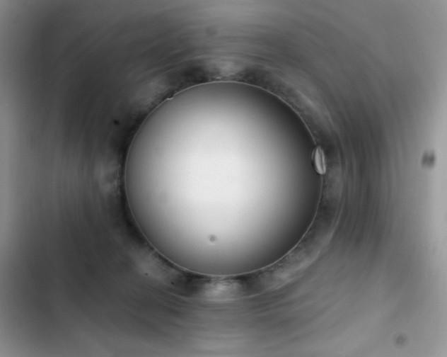 X0000102870274200808181513