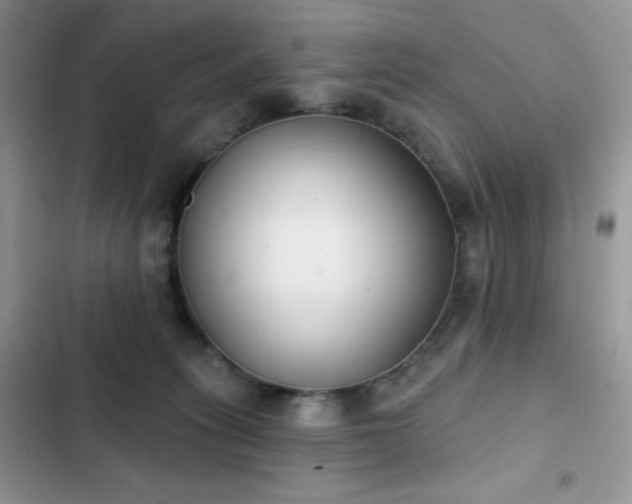 X0000102870275200808181513