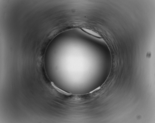 X0000102870276200808181513