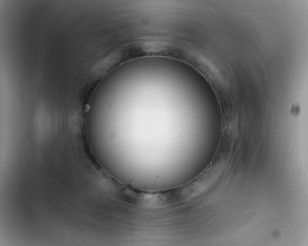 X0000102870277200808181513