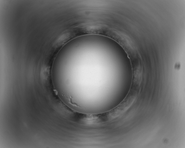 X0000102870278200808181513