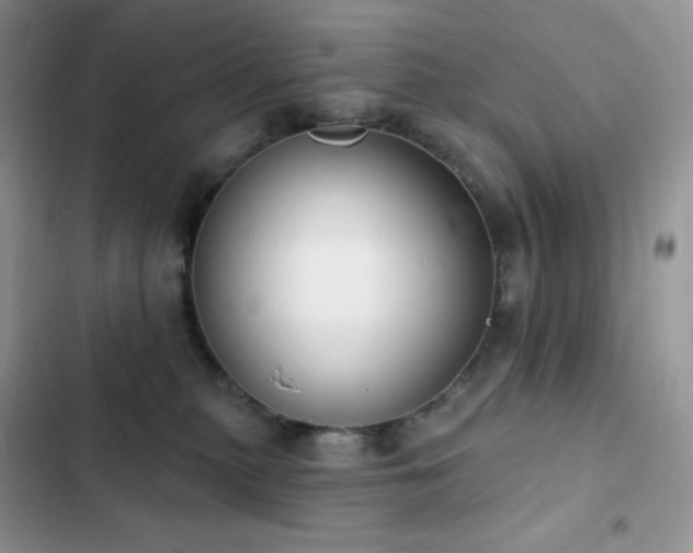 X0000102870279200808181513