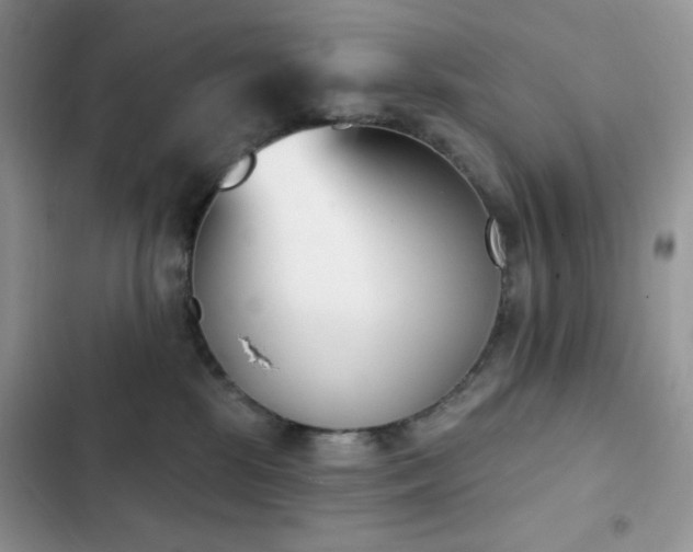 X0000102870281200808181513