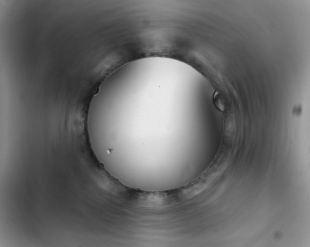 X0000102870282200808181513
