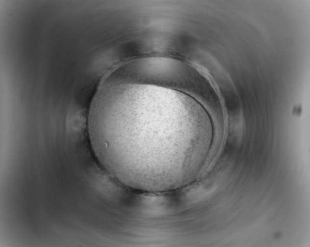 X0000102870284200808181513