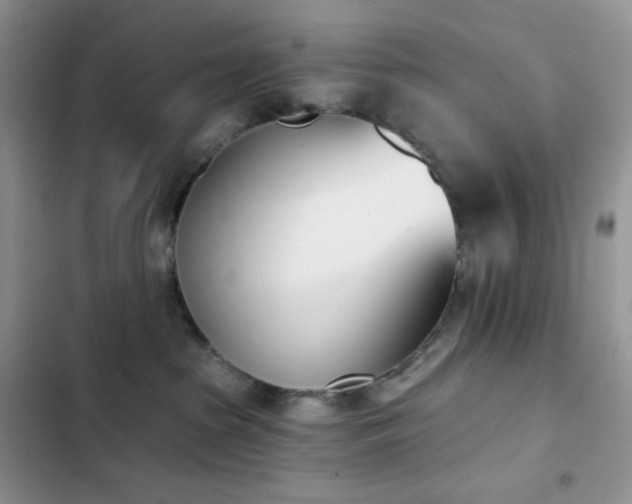 X0000102870285200808181513