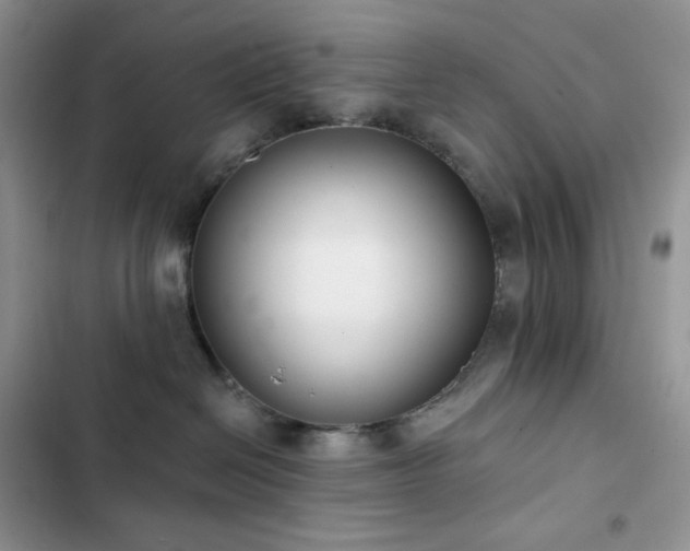 X0000102870286200808181513