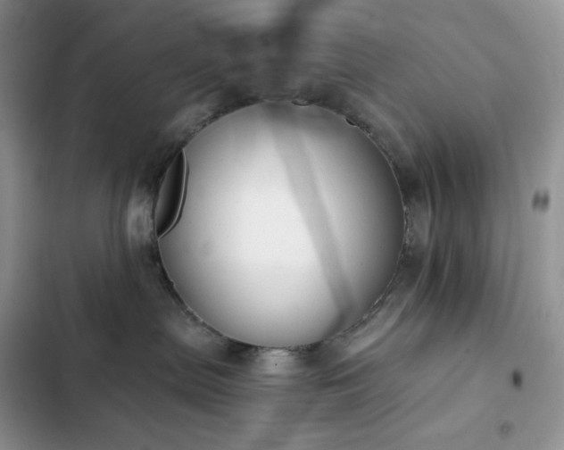 X0000102870287200808181513