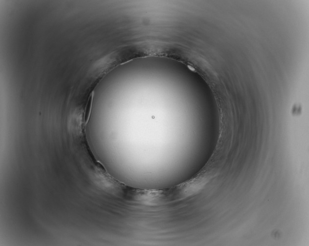X0000102870288200808181513