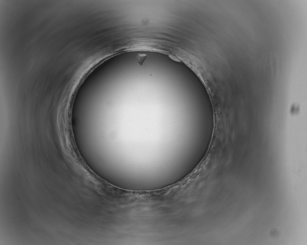 X0000102870289200808181513