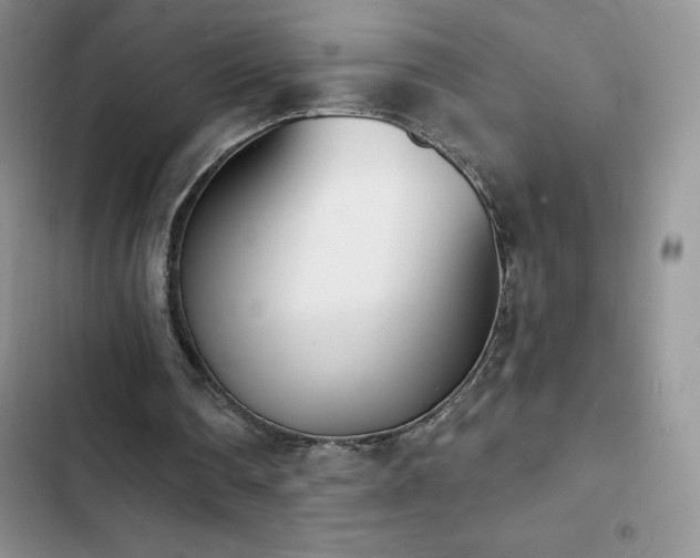 X0000102870290200808181513