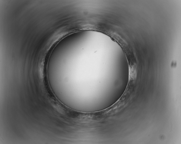 X0000102870291200808181513