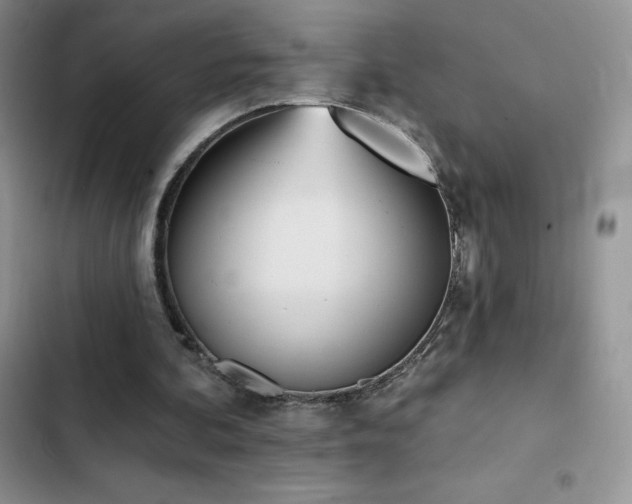 X0000102870292200808181513