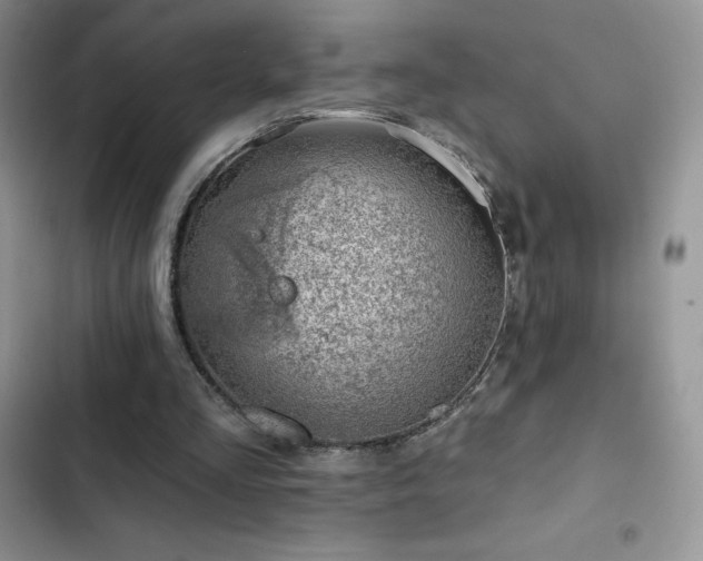 X0000102870293200808181512