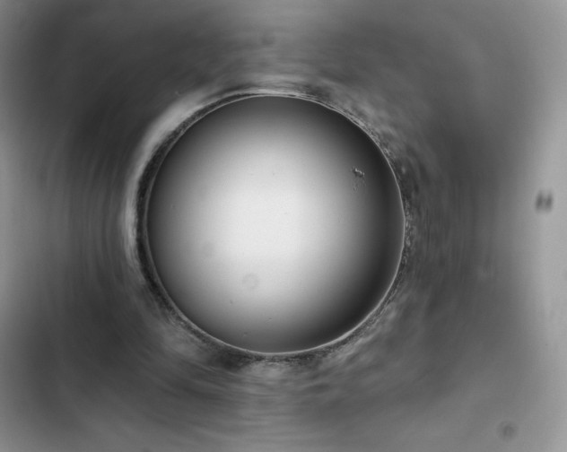 X0000102870294200808181512