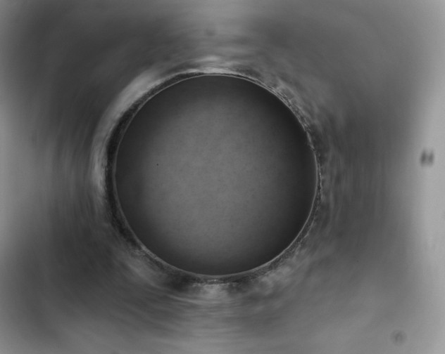 X0000102870295200808181512