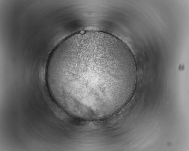X0000102870297200808181512
