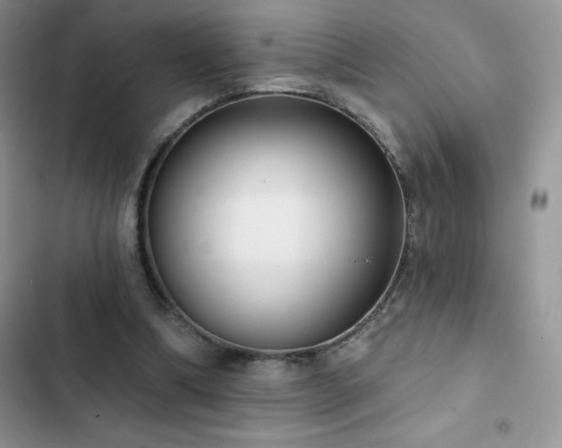 X0000102870298200808181512