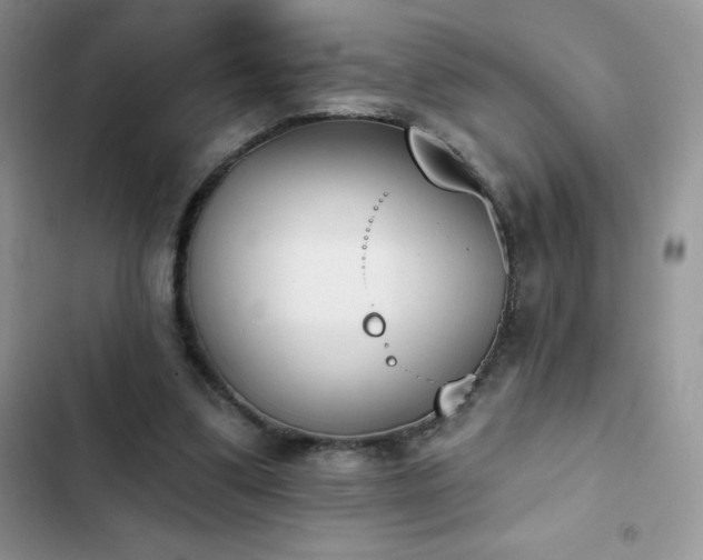 X0000102870299200808181512