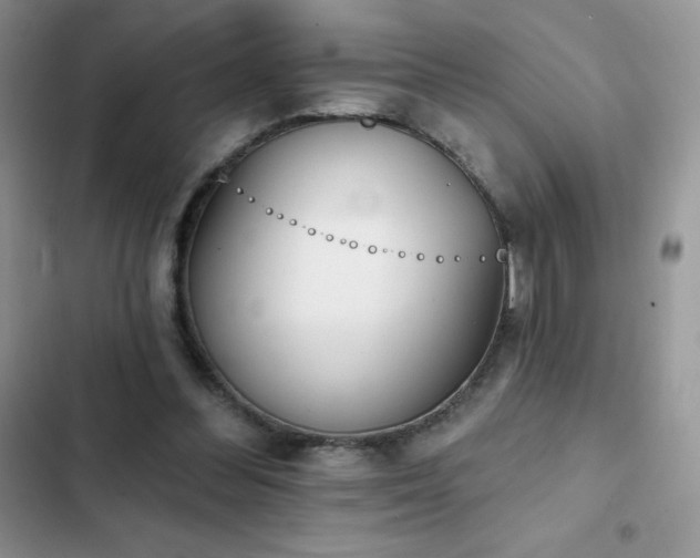 X0000102870300200808181512