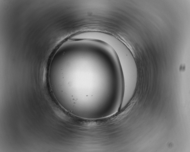 X0000102870301200808181512