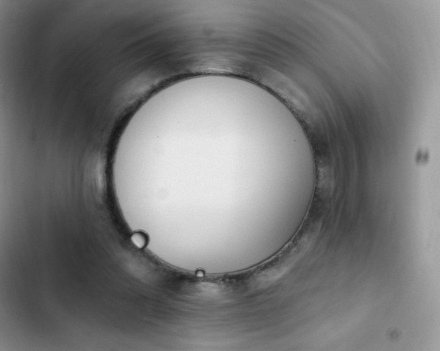 X0000102870302200808181512