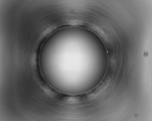X0000102870303200808181512