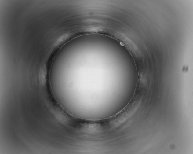 X0000102870304200808181512