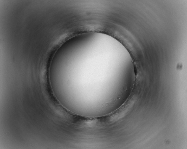 X0000102870306200808181512