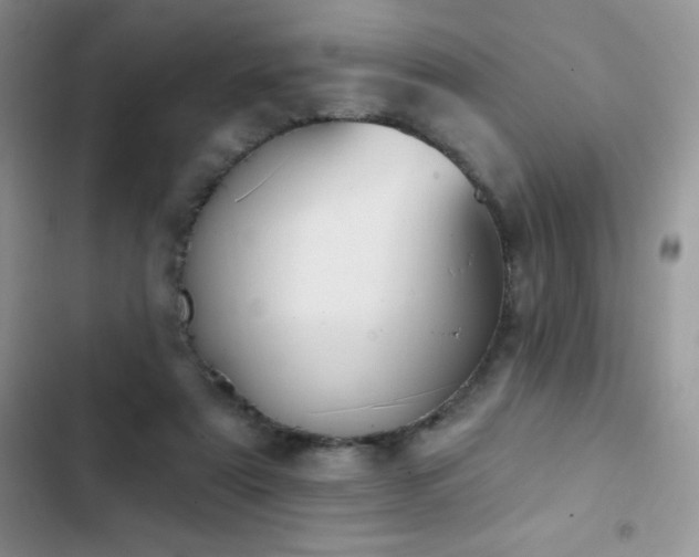 X0000102870307200808181512