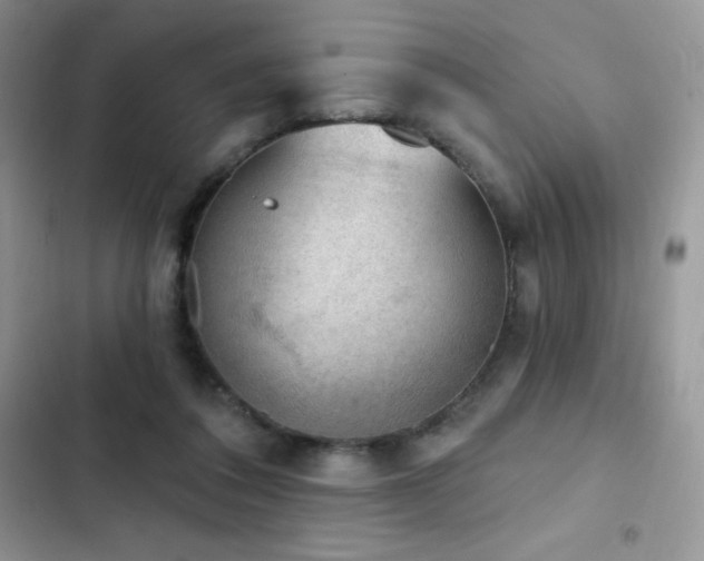 X0000102870308200808181512