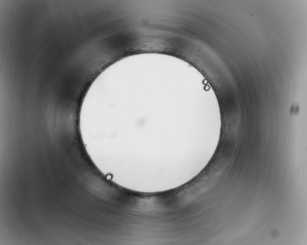 X0000102870309200808181512
