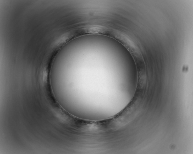 X0000102870310200808181512