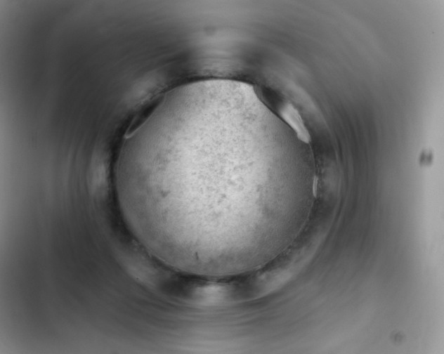 X0000102870312200808181512