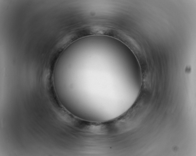 X0000102870314200808181512
