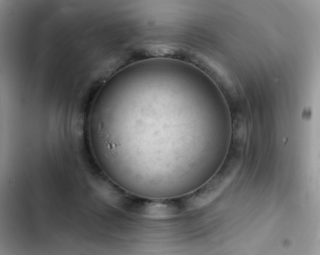 X0000102870315200808181512