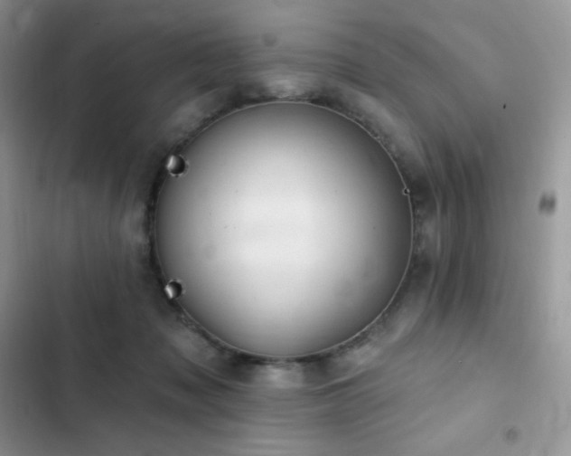 X0000102870317200808181512