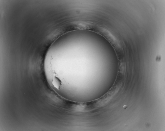 X0000102870318200808181512