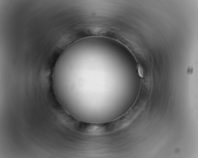 X0000102870319200808181512