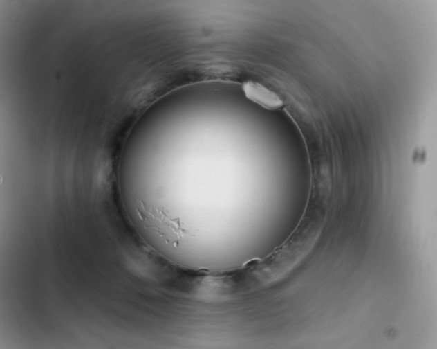 X0000102870320200808181512