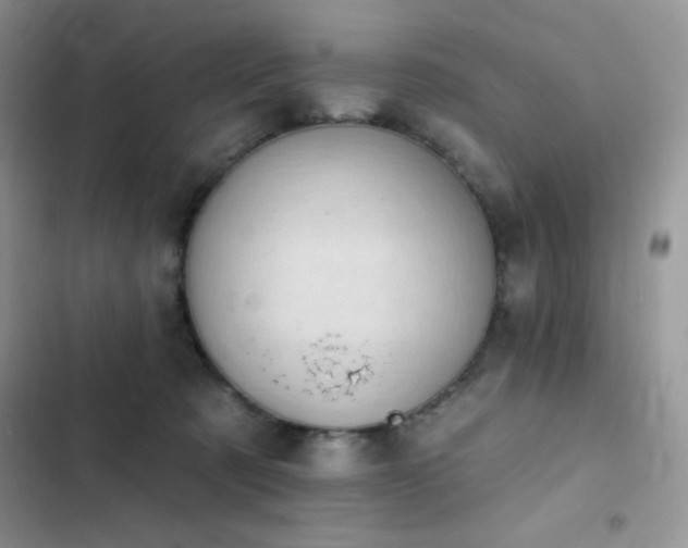 X0000102870321200808181512