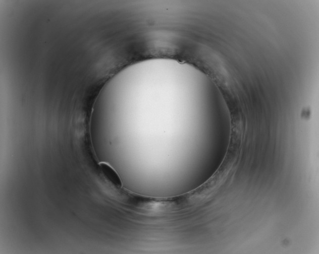 X0000102870323200808181512