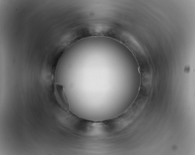 X0000102870324200808181512