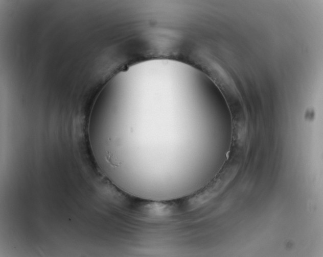 X0000102870326200808181512