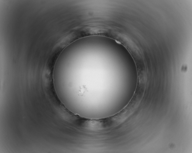 X0000102870327200808181512