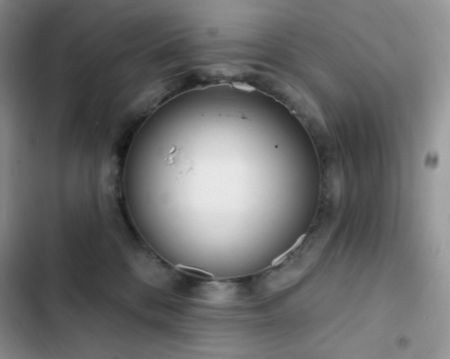 X0000102870328200808181512
