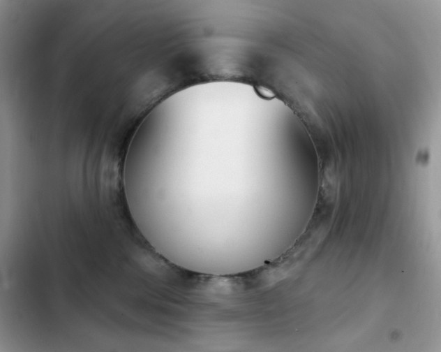 X0000102870330200808181512